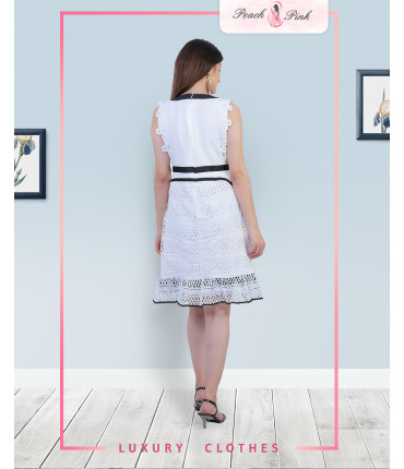 Moonshiner Crochet Mini Dress